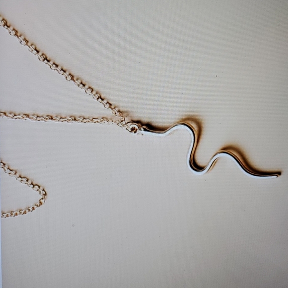 Gold Plated Necklace with Snake Accesory - Picture 2 of 4